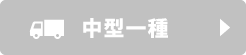 中型一種